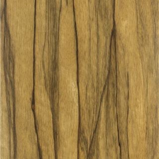 黑淋巴  Black Limba